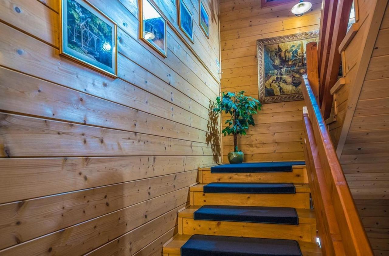 Hotel Forest Hills Zirc Extérieur photo